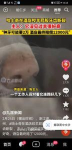 解梦：老婆梦见狗咬老公，揭秘婚姻冲突与应对之道