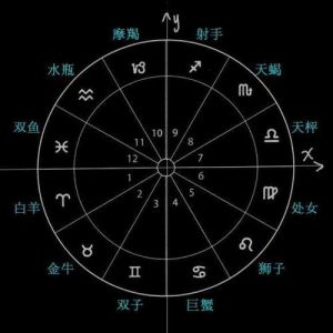 2025年生肖星座运势：事业飞跃转折点