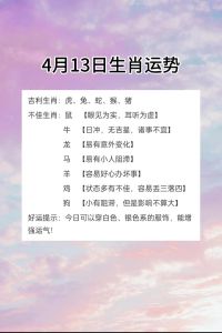 2024年12月13日十二生肖运势详解