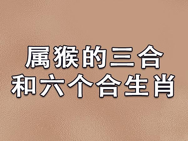 2025生肖大转机：鼠龙猴狗财运事业爱情三丰收