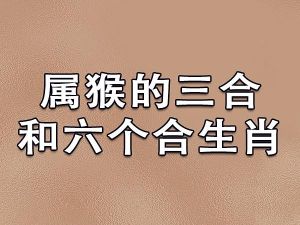 2025生肖大转机：鼠龙猴狗财运事业爱情三丰收