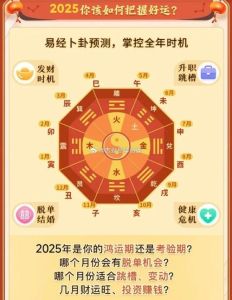 2025年运势揭秘：俊华八字命理解析指南