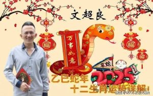 2025生肖运势揭秘：文超良大师精准预测，提前布局！