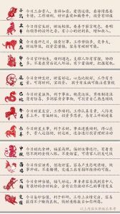 2025生肖运势揭秘：爱情财运事业风向标