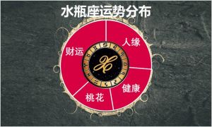 2025年运势新篇：鼠龙狮子天蝎事业财运起飞