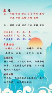 2024年12月13日生肖运势揭秘：吉凶宜忌指南