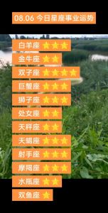 星座故事：白羊金牛天秤狮子，爱情事业财运绽放光彩