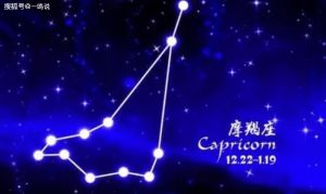 星座女性职场智慧：白羊处女摩羯天蝎如何活出精彩人生