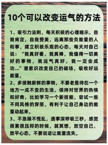 死猫预示死亡之谜：迷信与科学的交织解析