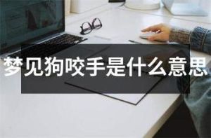 梦境解析：狗咬丈夫预示什么？揭秘潜意识焦虑与理财之道