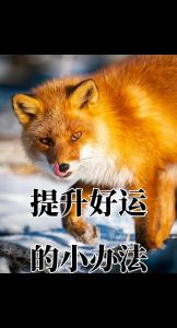 五招开启好运门：心态调整，行动感恩，勇闯人生