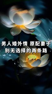 猫咪临终征兆揭秘：生死之谜与尊重生命之道