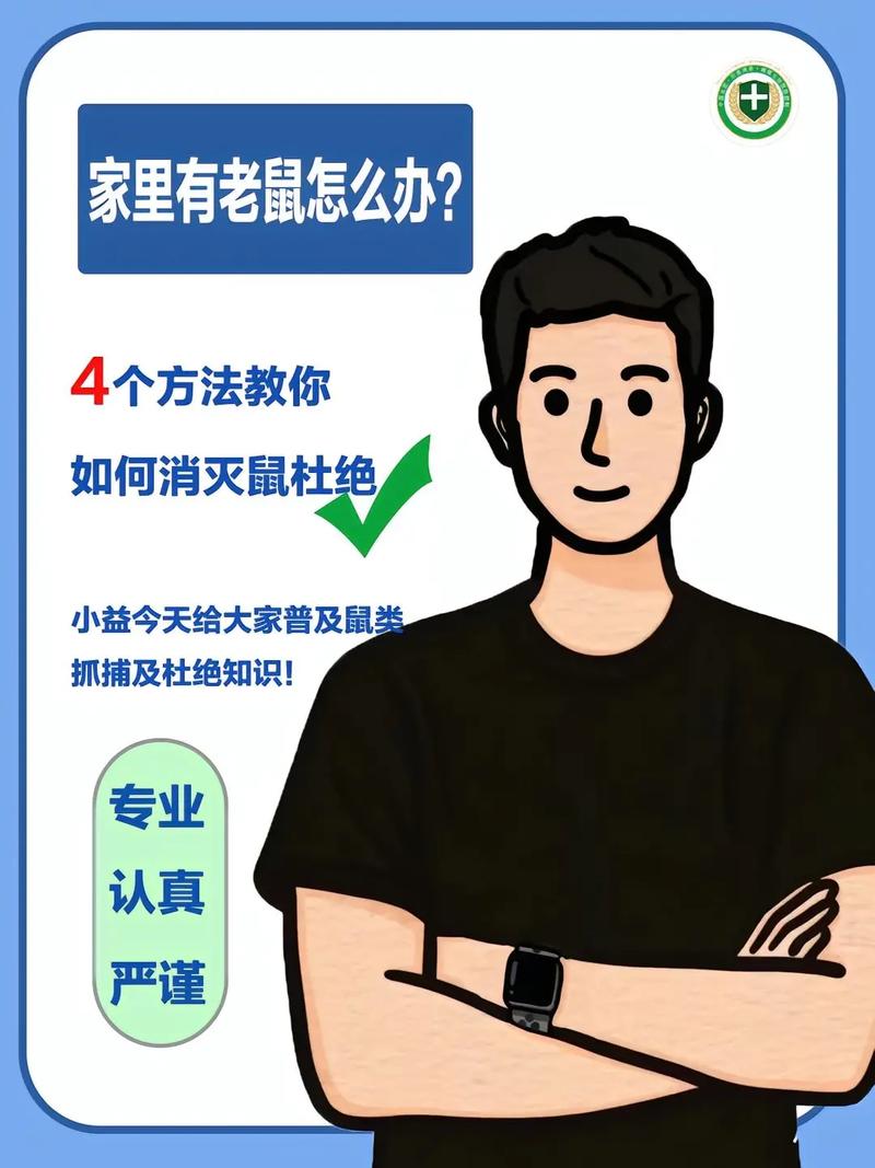 快速识别老鼠入侵迹象及家庭灭鼠攻略