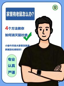 快速识别老鼠入侵迹象及家庭灭鼠攻略