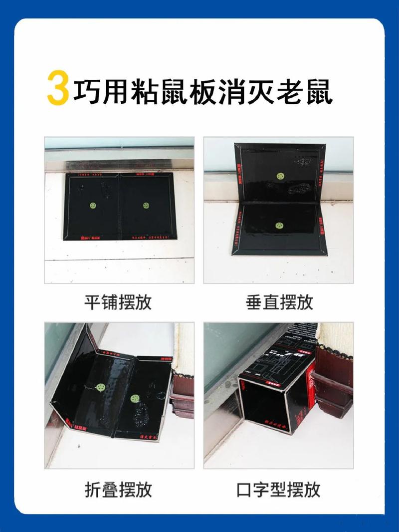 揭秘家中老鼠去留，一招防治老鼠大法
