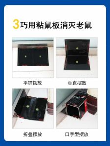 揭秘家中老鼠去留，一招防治老鼠大法