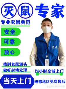 家中老鼠入侵？揭秘驱鼠妙招，守护家园安宁