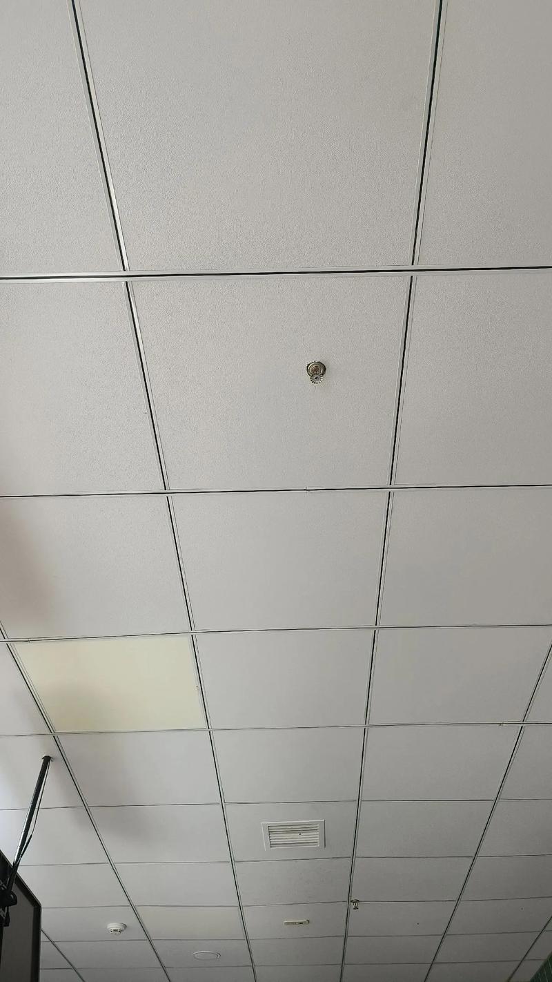 全封闭吊顶除鼠攻略：防鼠方法与预防技巧