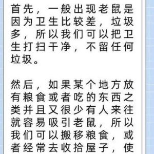 男士衬衫：风格演绎与气质解码