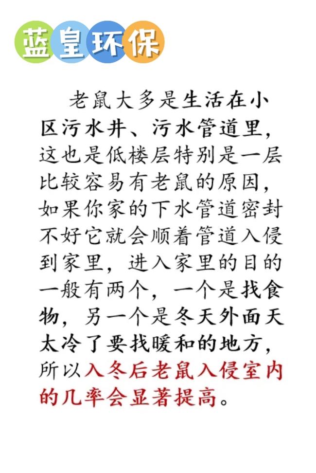 一招灭鼠！家居鼠患一夜根除秘籍