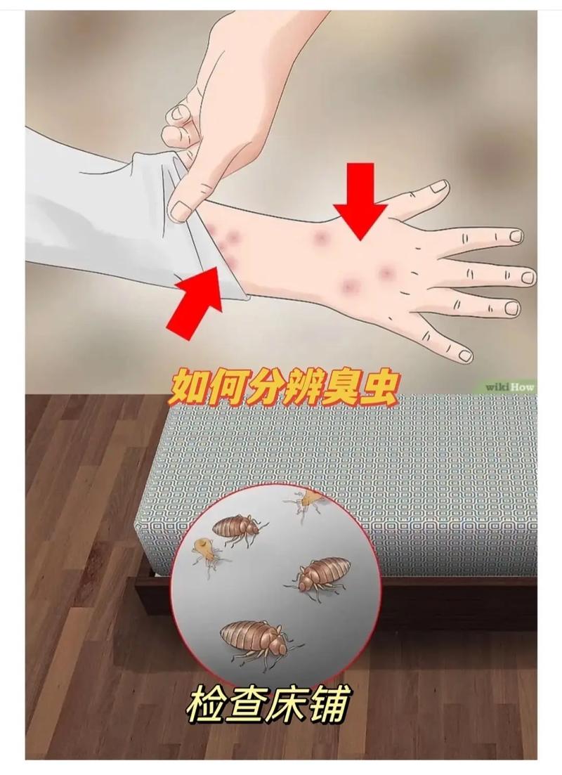 全方位攻略：战胜家鼠，守护家居清洁