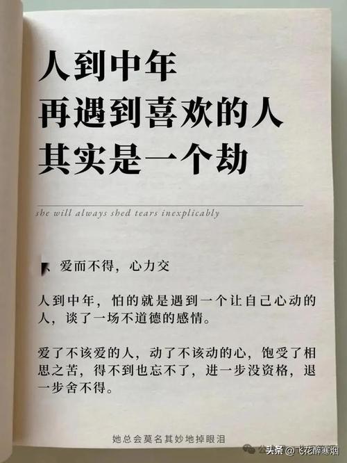 中年心动：理智与情感的抉择