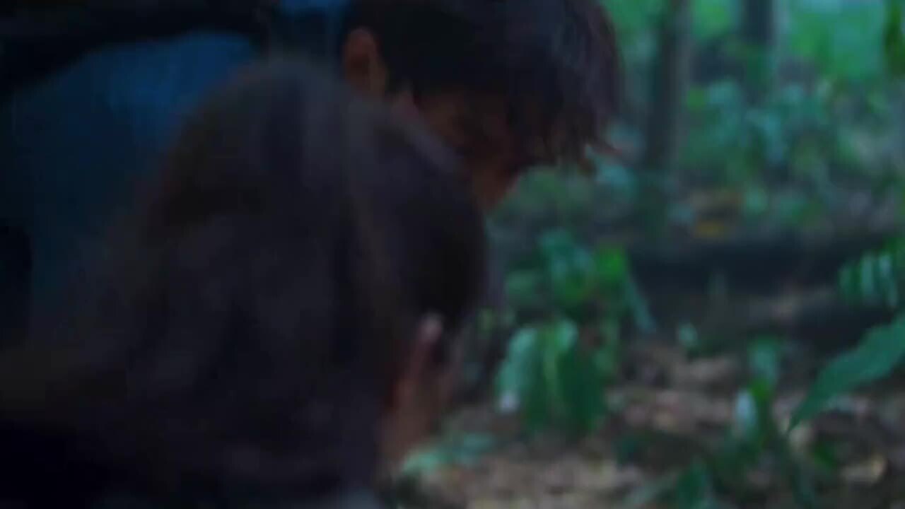 揭秘灵性高者：预知能力背后的特质与人生哲学