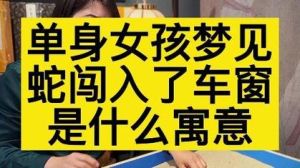 单身女性梦境蛇象：爱情运势揭秘