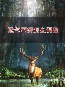 逆境转运之道：心态调整与行动力，赢取好运未来