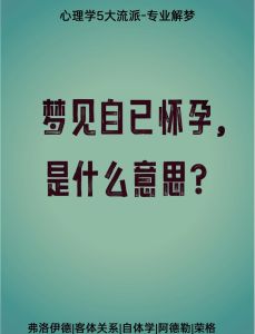 梦境揭秘：怀孕预示新生活，探索内心声音