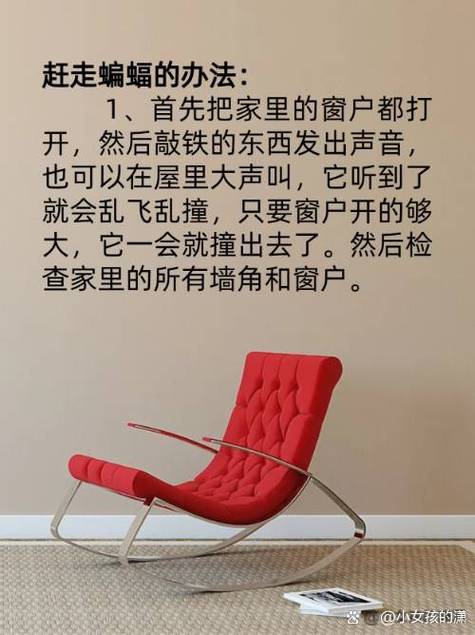 巧应对蝙蝠闯入：封闭门窗驱赶消毒全攻略
