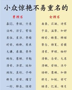 宝宝取名攻略：传统与现代结合，选好名，启航未来