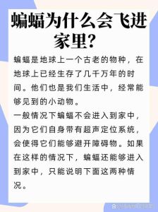 蝙蝠进宅忌讳及人性化驱赶方法
