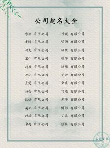 揭秘免费自动取名奥秘：专业起名与文化智慧