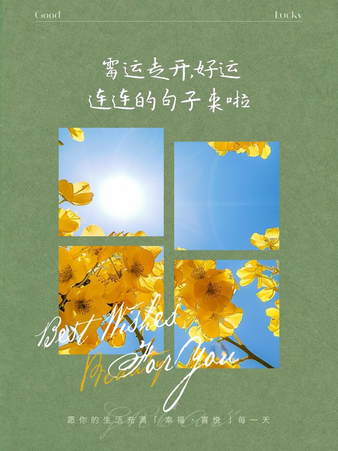 全方位转运指南：破解霉运，开启好运之旅