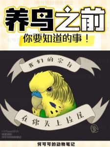养鸟风水揭秘：吉祥鸟种助旺运，家中风水宝鸟你了解吗？