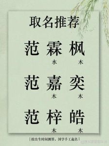 2024年11月宝宝取名指南：五行八字选名秘籍