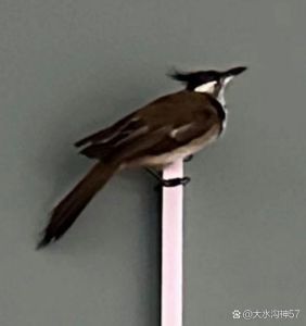 色彩心理学：揭秘性格色彩密码