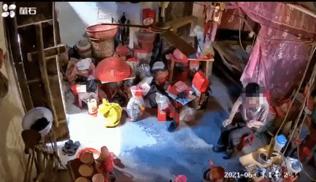 揭秘紫啸鸫传说：文化密码与科学真相