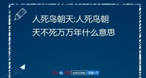 揭秘：人死后鸟飞进屋，风水与传说中的吉凶之谜