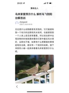 鸟儿进家：吉祥与不祥的传统文化解读