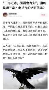 揭秘‘鸟进宅，三年必有一凶’：迷信与科学的碰撞