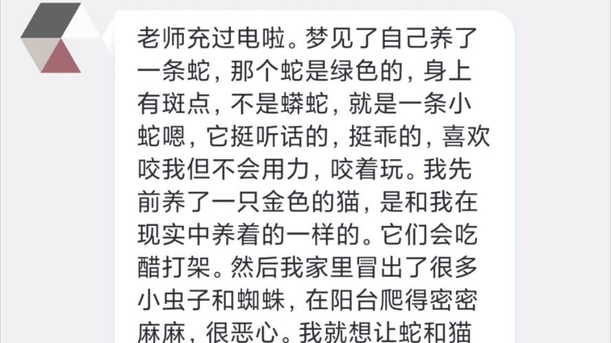 社交恐惧症解析：内向者如何克服沉默与焦虑