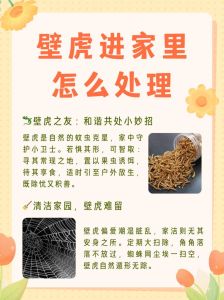壁虎入家：吉凶之谜揭秘！