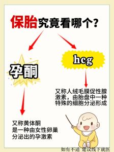 五行喜金用土男孩吉祥名推荐