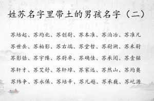 龙宝宝土金吉祥名：寓稳贵坚实，启辉煌未来
