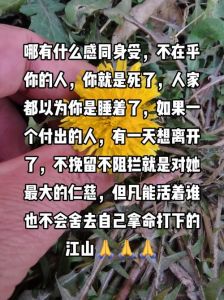 玄学揭秘：干预命运反噬真相，善恶因果轮回之旅