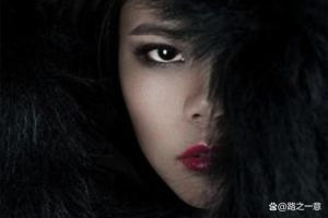 独来独往的女性：生活哲学与人生选择解析