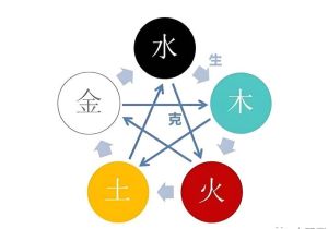 11月宝宝五行命盘揭秘：如何补缺助成长？