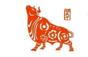 11月14日宝宝独特命理，起名攻略与诗词寓意